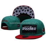 Casquette Memphis Grizzlies Vert Rouge